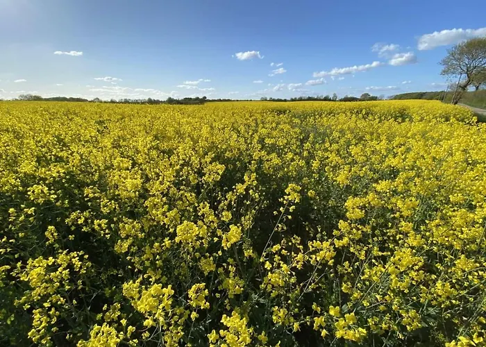 Vakantiehuis Leichte Brise *